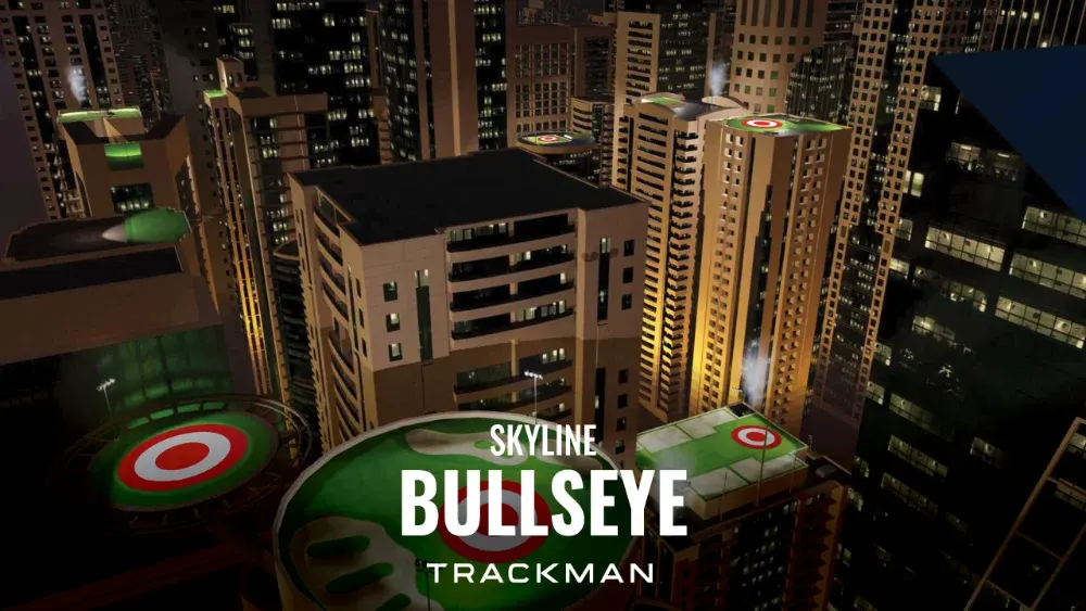 Bullseye target screen
